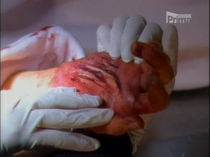 Drzá Jordan 1x12 Pokrevní svazky avi