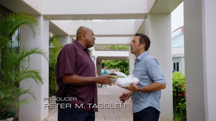 Hawaii 5 0 06x04 Dokonalý plán avi