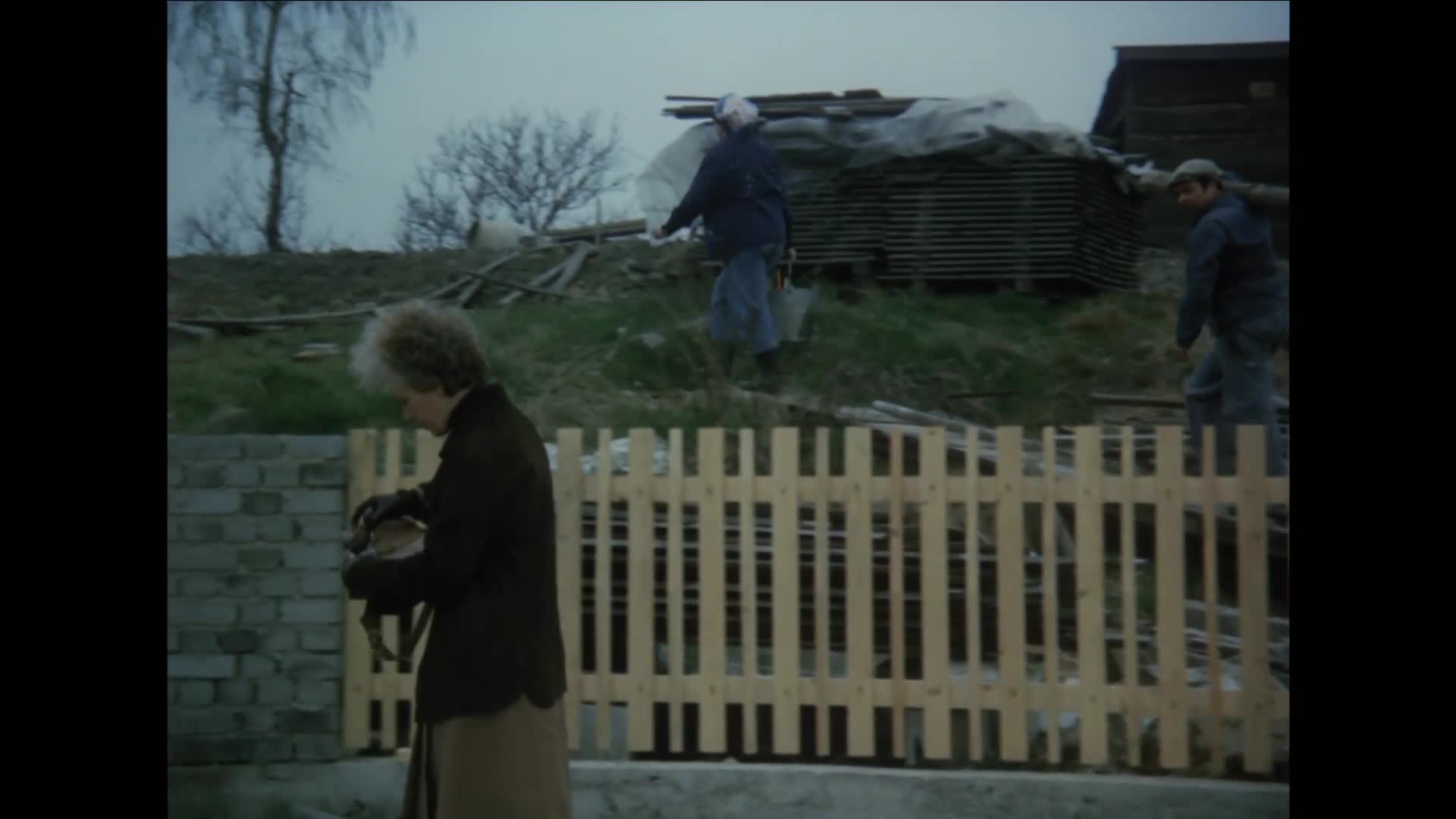 Půl domu bez ženicha {1980} komedie 1080p mkv