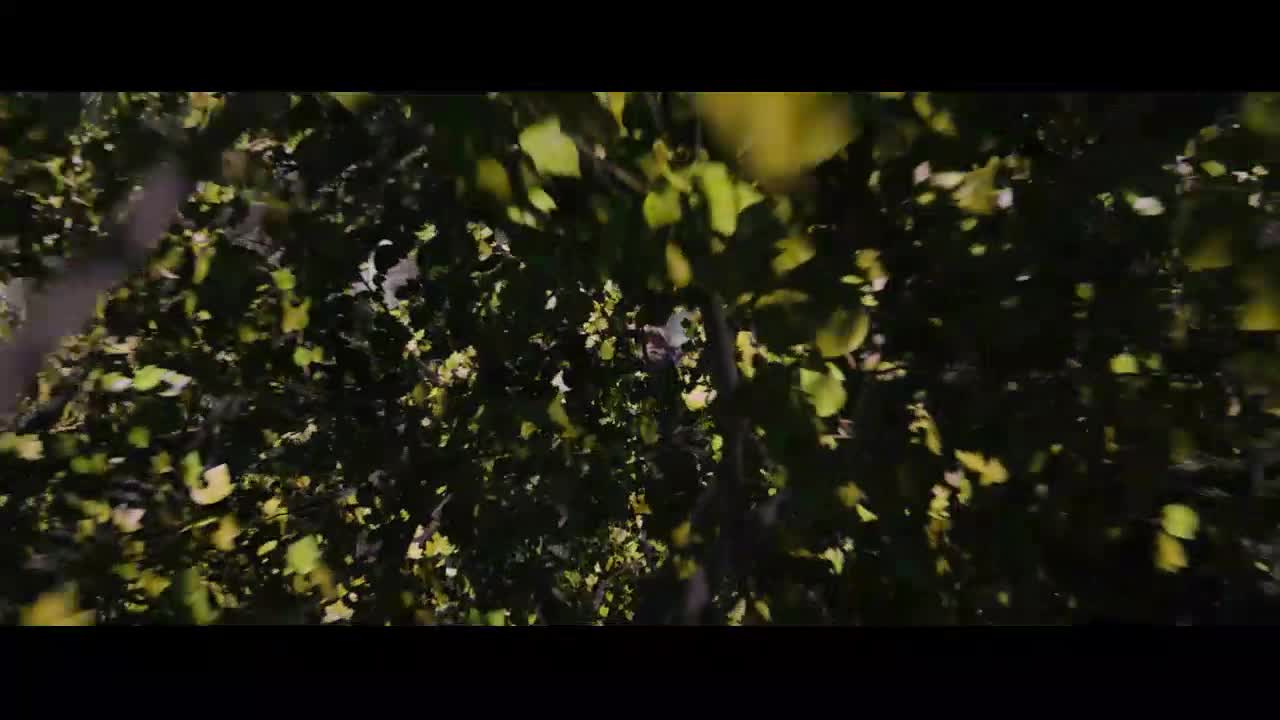 Pátá vlna (Chloë Grace Moretz Nick Robinson 2016 Dobrodružný Sci Fi Thriller 1080p ) Cz dabing avi