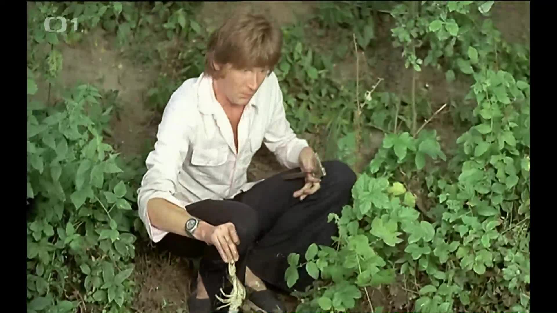 Bažanti jedou do Španělska (1972) komedie CZ dabing 1080p mkv