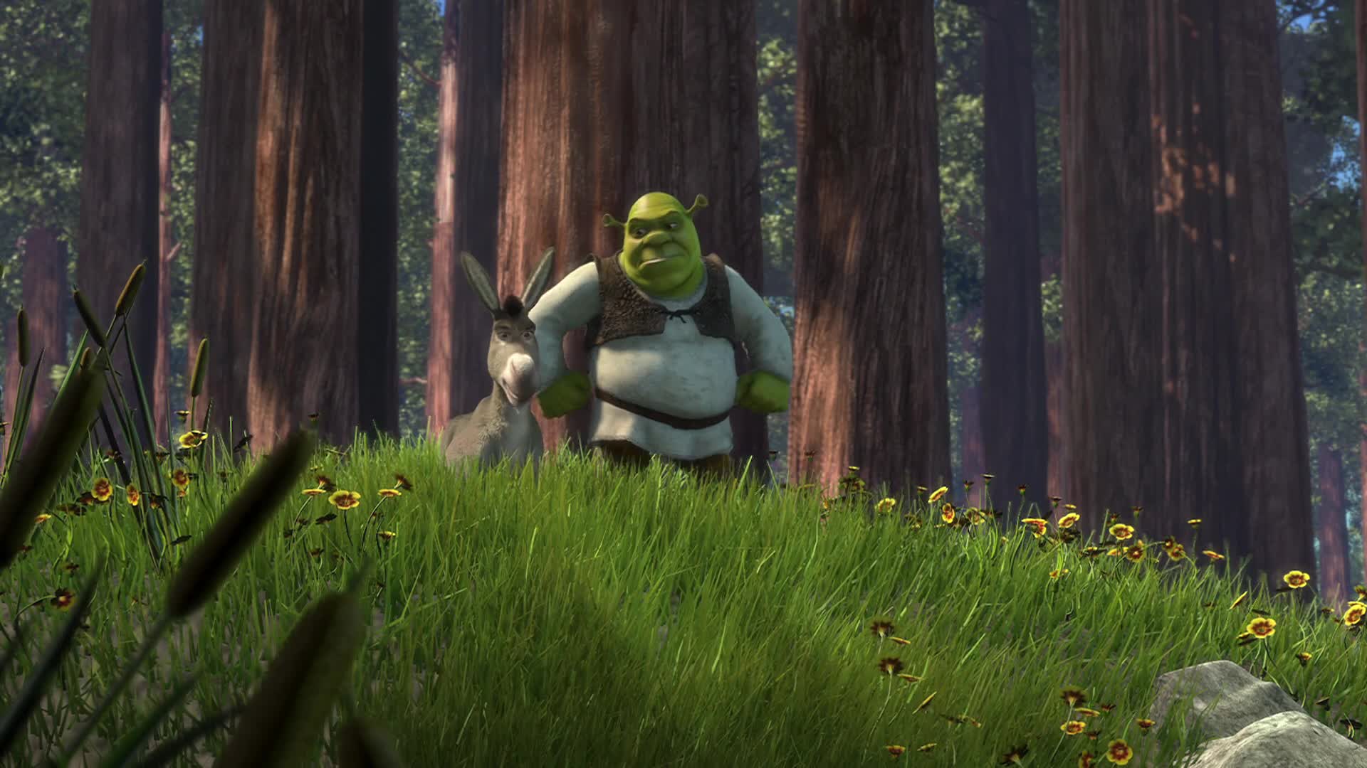 Shrek 1 rok2001 Novinka CZ dabing Full HD 1080p Pucci film mp4