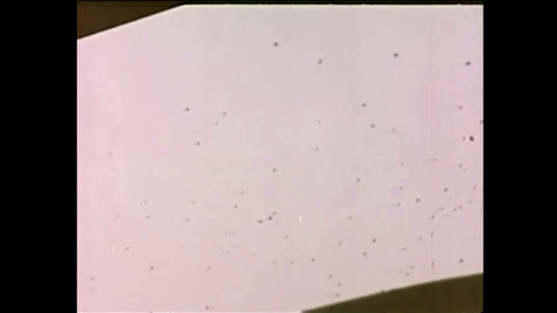 Tichá noc, krvavá noc (Patrick O'Neal,James Patterson,Mary Woronov 1972 Horor Thriller) Cz dabing mp4
