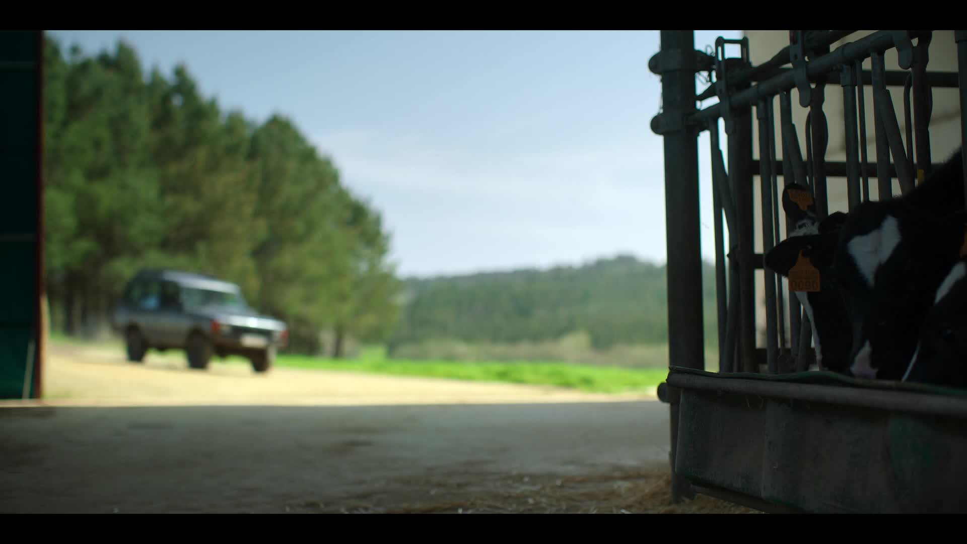 Starý pes, nové kousky S01E01 {2025} komedie AAC 5 1 1080p CZ dabing mkv