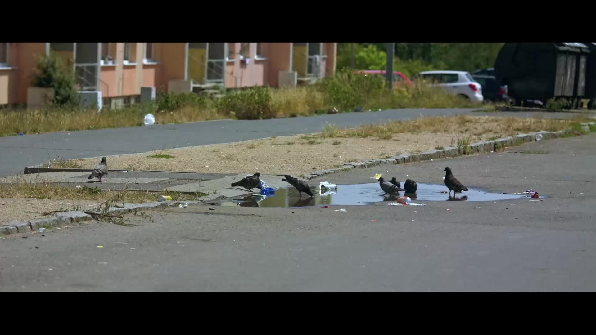 Bastardi 4: Reparát [2023] komedie, drama AAC 5 1 1080p mkv