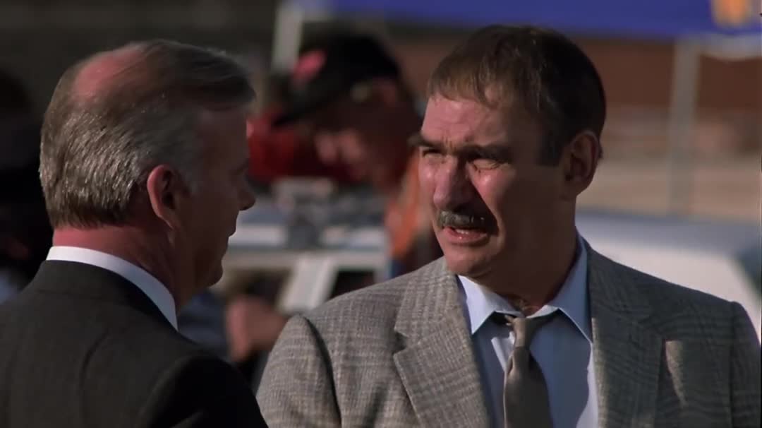 Dalších 48 hodin (Eddie Murphy, Nick Nolte, Brion James 1990 Krimi Akční Drama Komedie Bdrip 1080p ) Cz dabing mkv