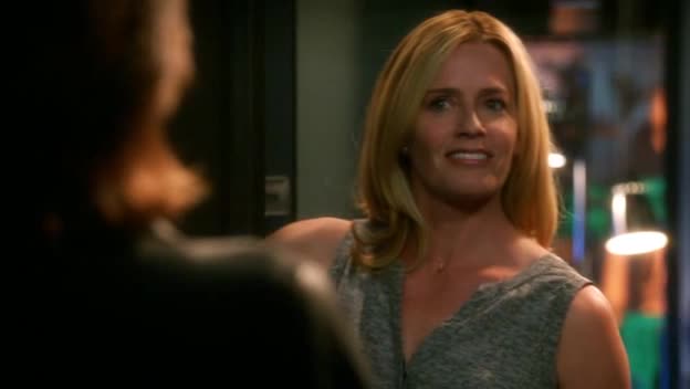 Kriminálka Las Vegas S14E10 22 2013 CZ dab 360p Dámská jízda avi