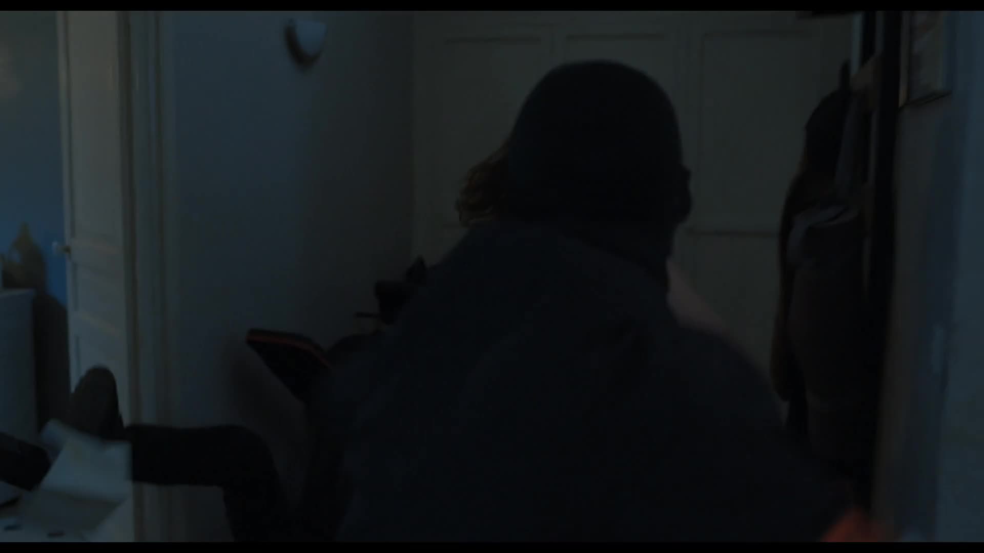 Ad Vitam 2025 CZ dab 1080p mkv