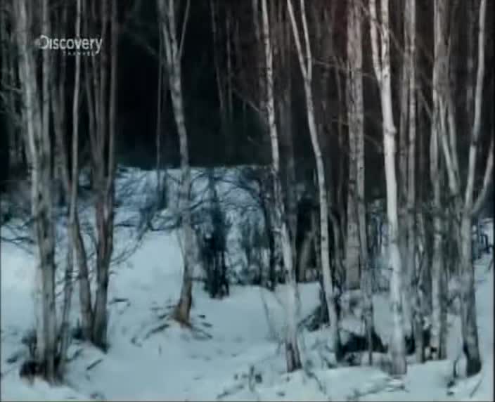 Aljašská železnice S01E02 06 2013 CZ dab 720p Na Aljasce, tohle je problem mkv