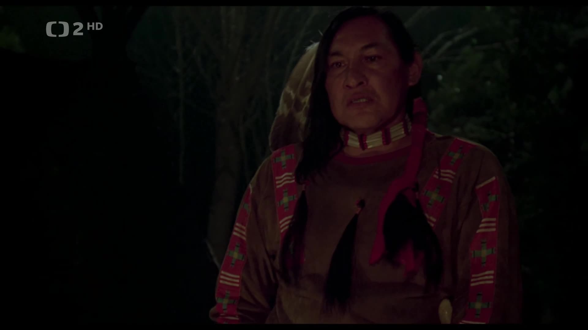 Bílý bizon {1977} western 1080p CZ dabing mkv