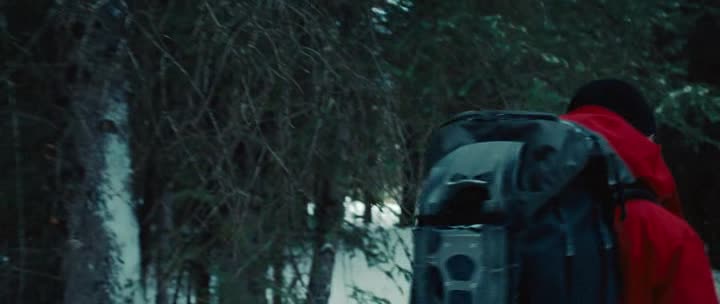 Bourneův odkaz 2012 CZ dab avi