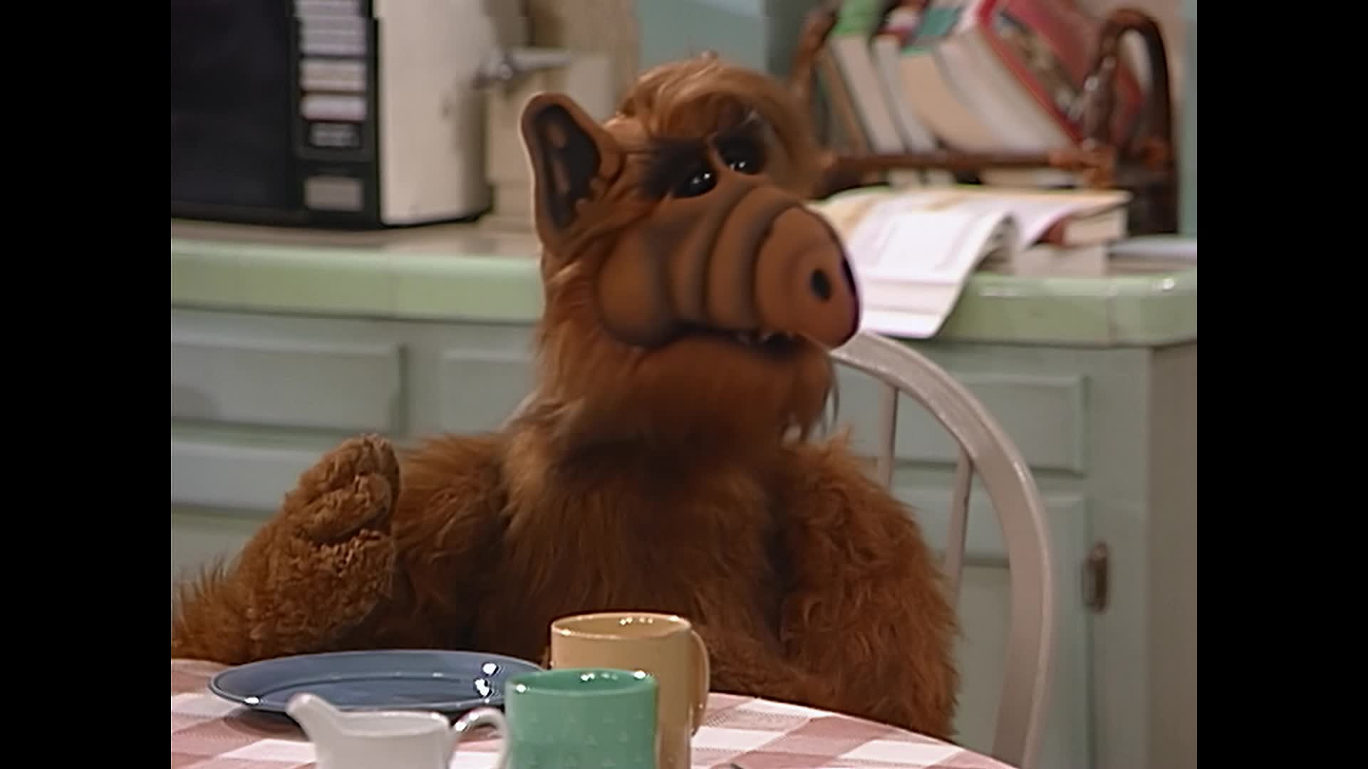 Alf (1986) S01E25 Brouk v domě mkv