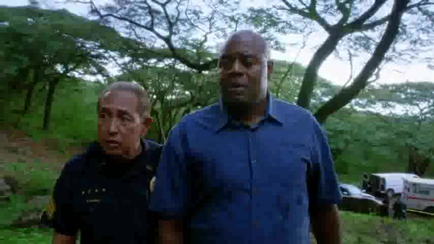 Hawaii 5 0 05x20 Instinkt Cz avi