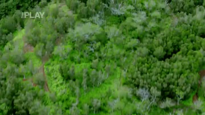 Hawaii 5 0 06x21 Cena za svobodu avi