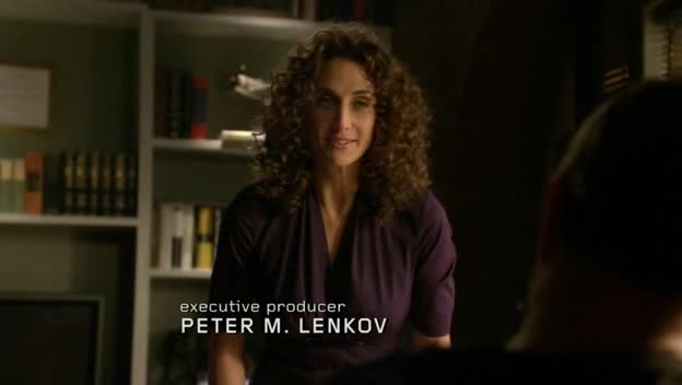 Kriminálka New York S06E22 Úhel pohledu avi