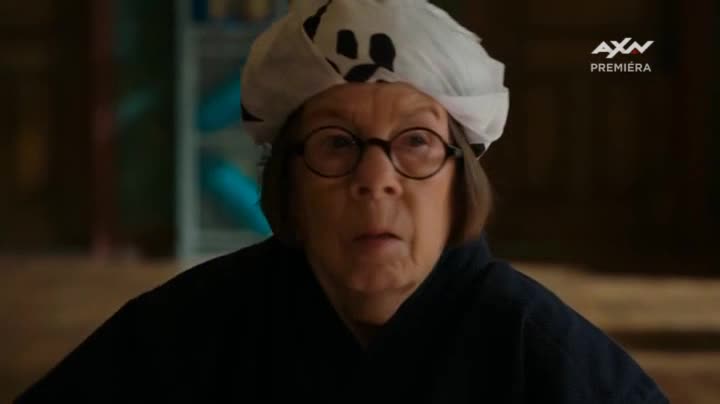 NCIS L A S11 E19 Štěstí přeje odvážným avi