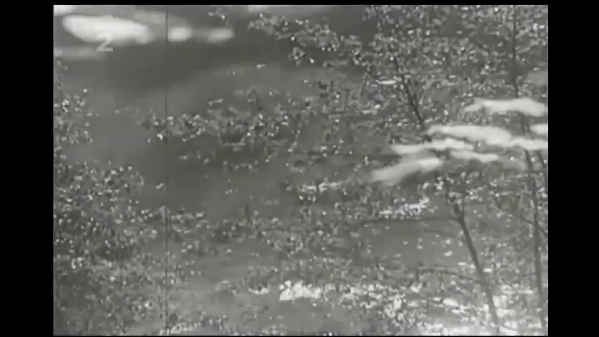 Hledání ztraceného času Slunce voda vzduch mkv