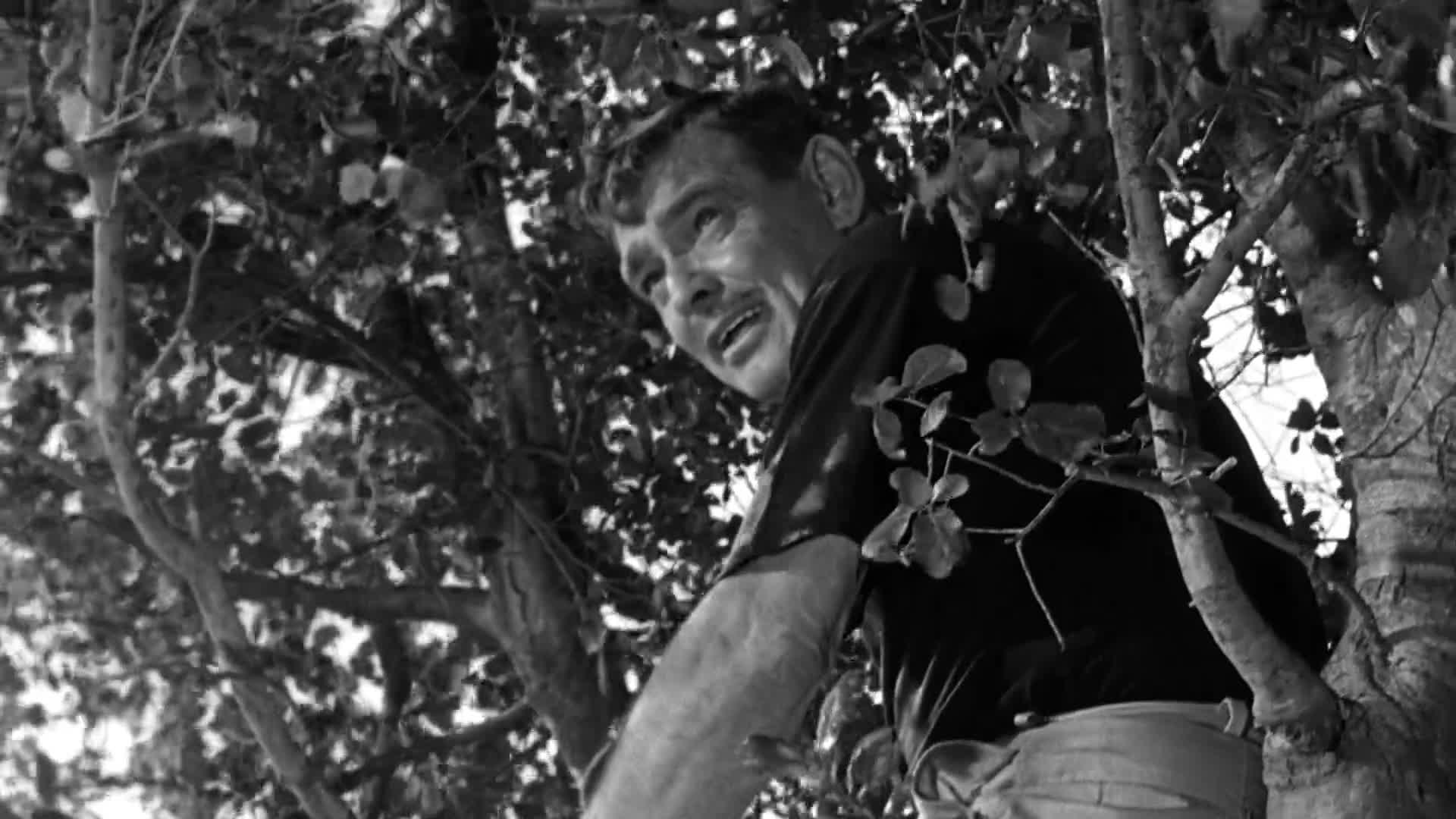 Pluj tiše  pluj hluboko (Clark Gable Burt Lancaster Jack Warden 1958 Válečný Akční Drama 1080p ) en+Cz dabing mkv