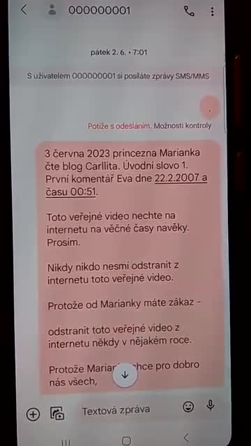 28 8 2024 videa autisticke princezny Marianky (13) mp4