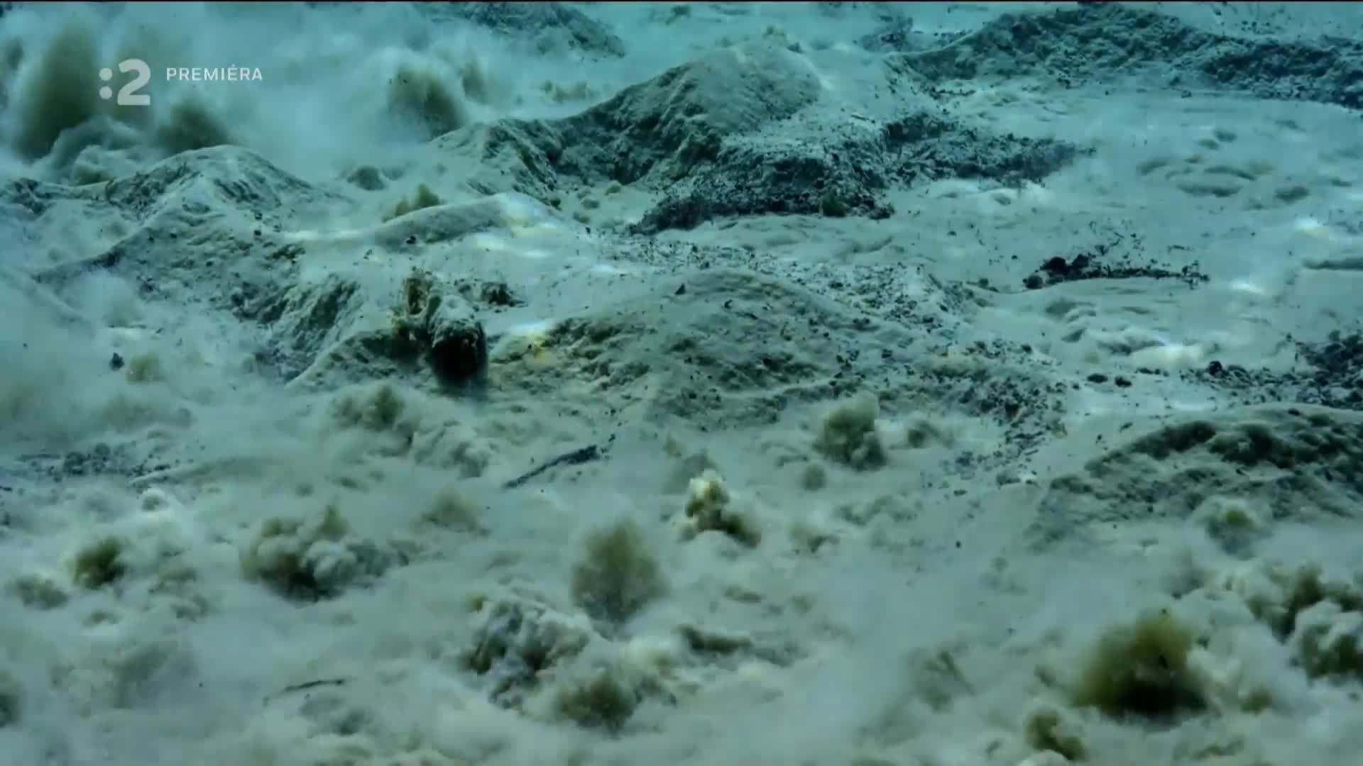 Andyho svetové dobrodružstvá 8 až 14 časť novinka CZ dabing Full HD 1080p Pucci film mp4