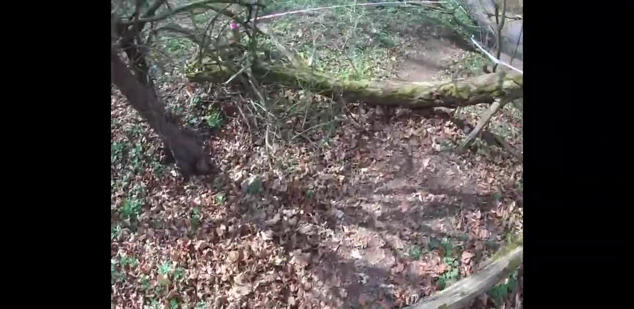 Extreme Dog Race hrad ToÄnÃ­k 12 4 2025 mp4