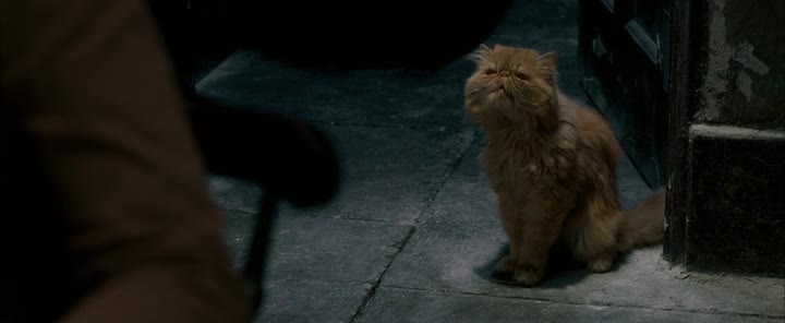 Harry Potter 5 Harry Potter a Fénixův řád cz avi