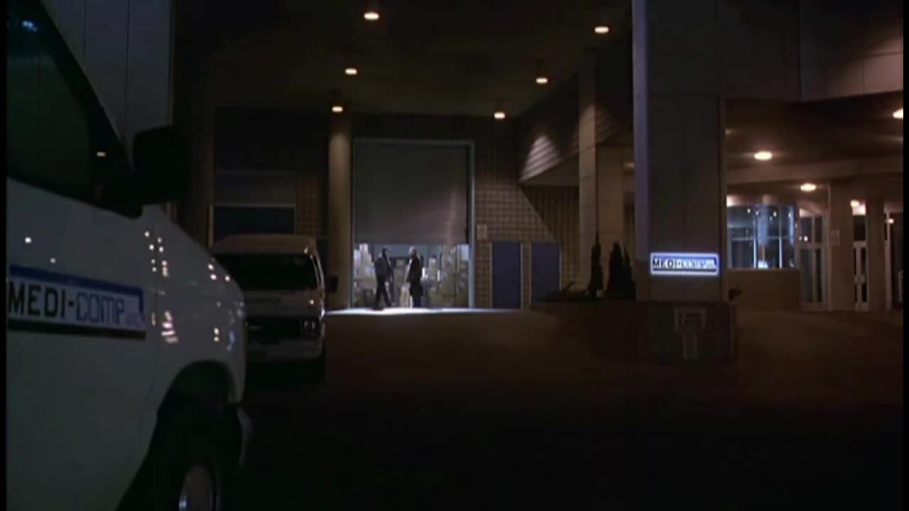 Darkman III Na život a na smrt (Jeff Fahey, Arnold Vosloo, Darlanne Fluegel 1996 Sci Fi Bdrip 1080p ) Cz dabing mp4