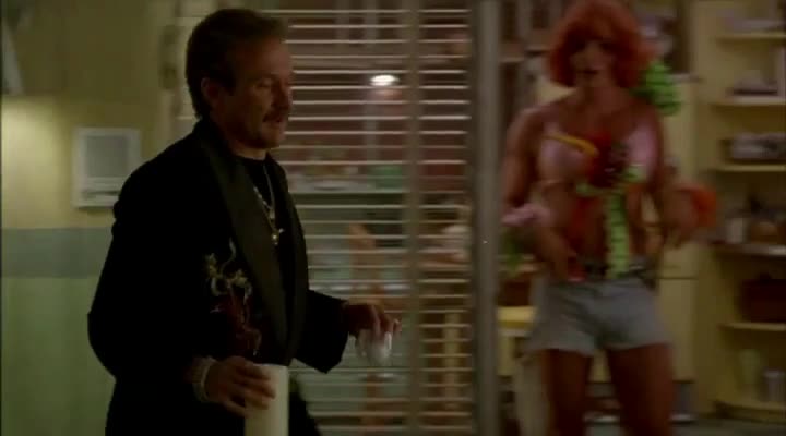 Ptačí klec (Robin Williams, Gene Hackman, Nathan Lane 1996 Komedie Dráma Dvdrip 1080p ) Cz dabing mp4