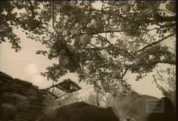 enigma enya return to innocence mpg