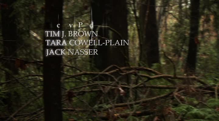 Dcera jako rukojmí 2010 CZ dab 360p avi