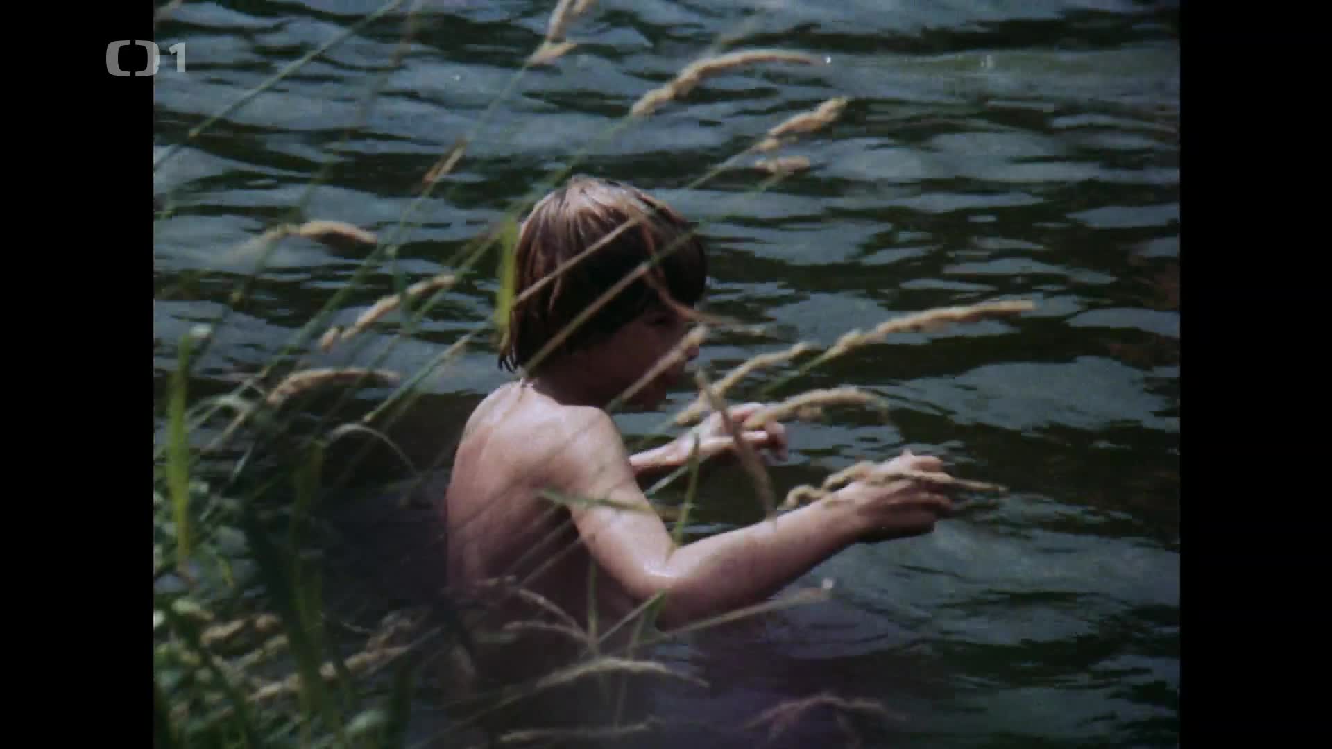 Pan Tau E25 a která je ta pravá {buřinka} mkv