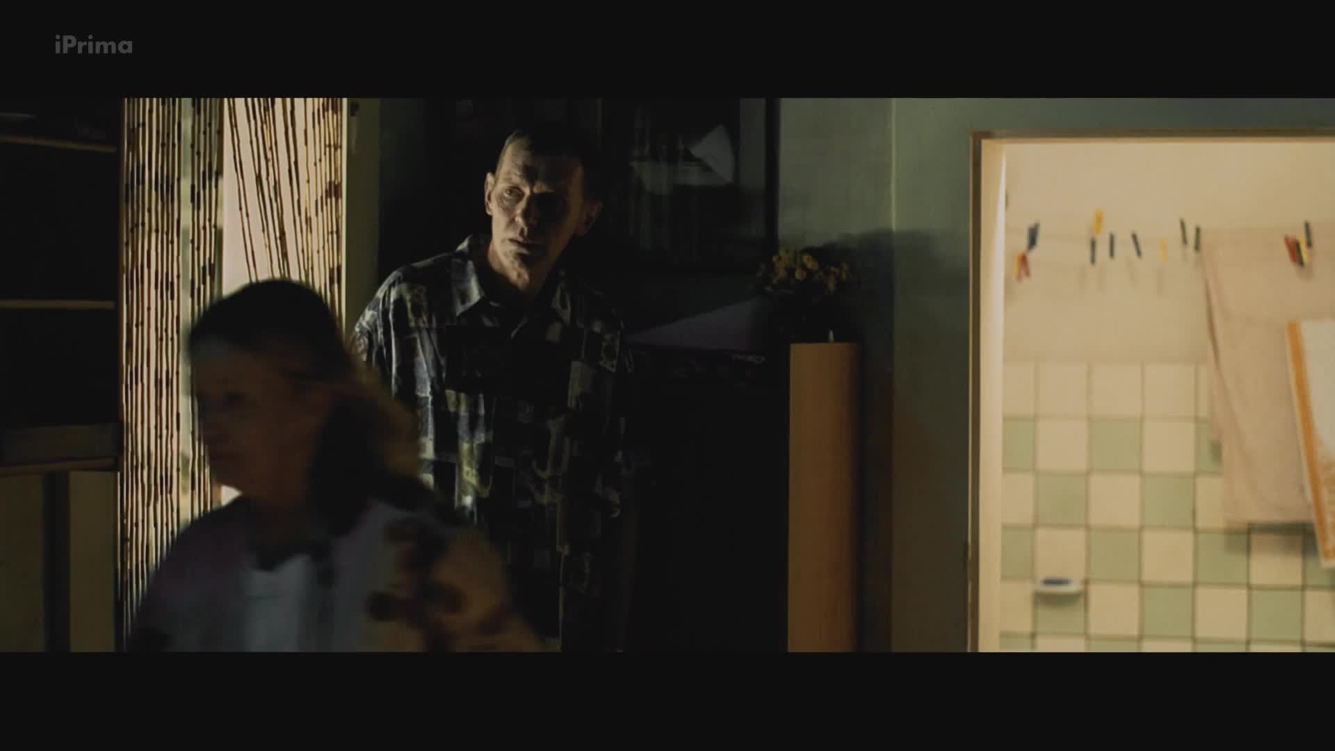 Kráska v nesnázích 2006 CZ dab 1080p mp4