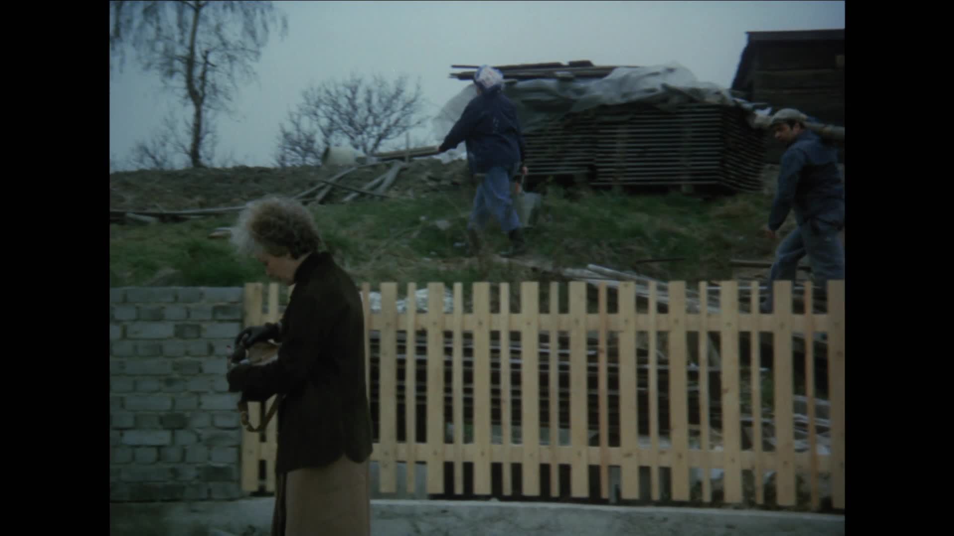 Půl domu bez ženicha 1980 CZ dab 1080p mp4