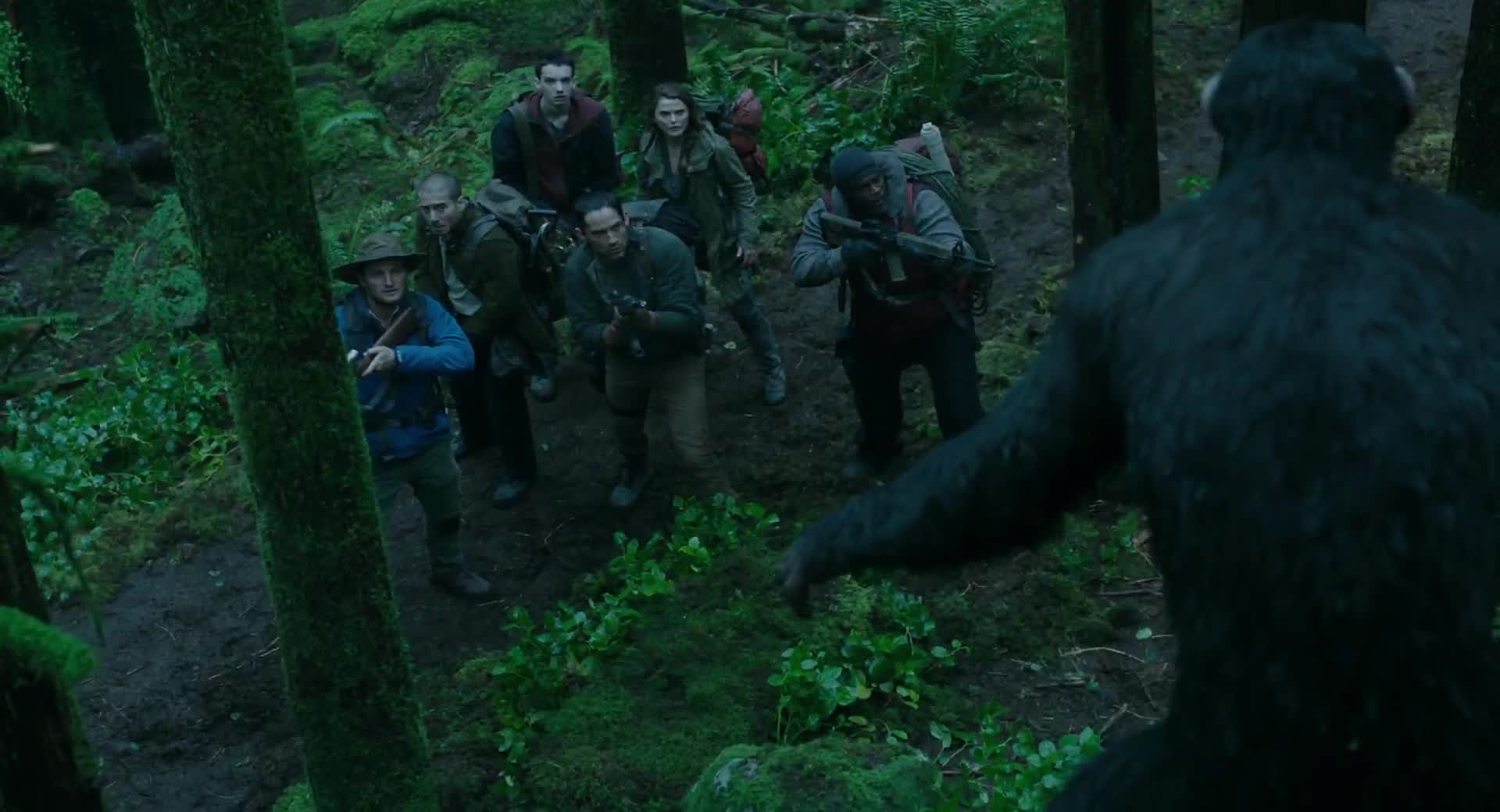 02 Úsvit planety opic 2014 mkv