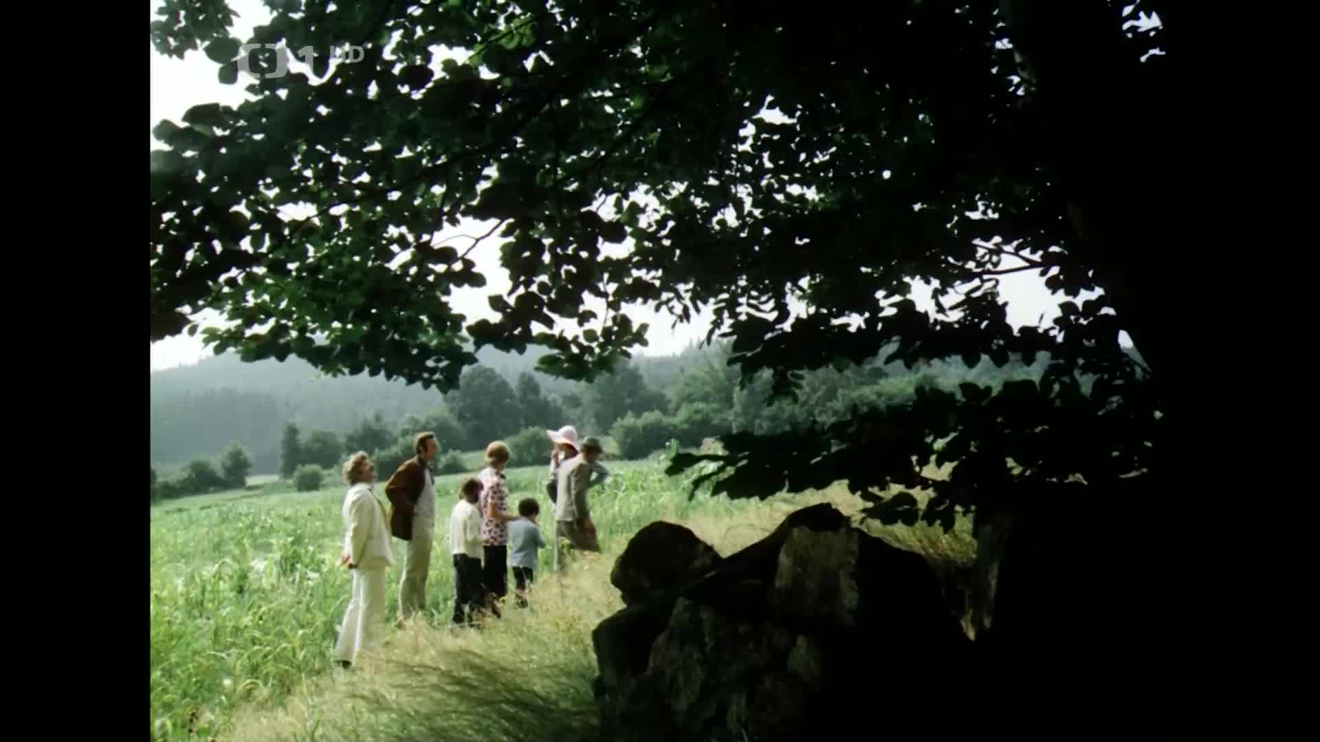 Na samote lesa komedie MKV 2024 novinka CZ dabing Full HD 1080p Pucci film mp4