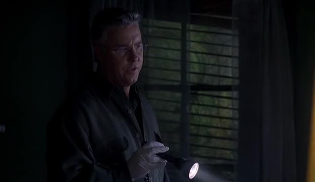 Kriminálka Las Vegas 02 20 Kočičinec mp4