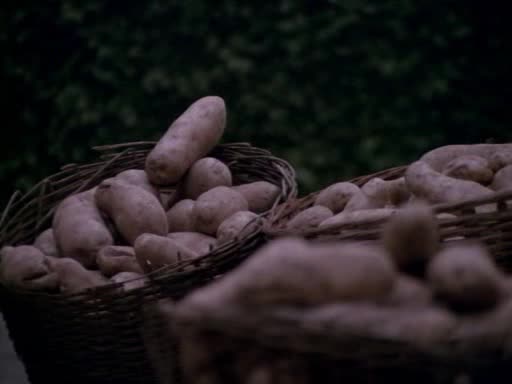 MacG 1x21 Vezen svedomi avi