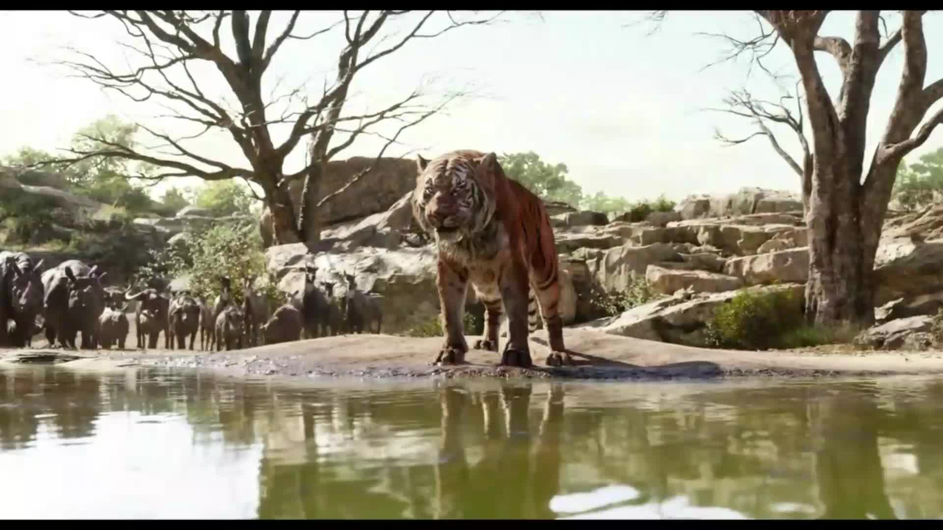 Kniha džunglí (Neel Sethi, Bill Murray, Ben Kingsley, Idris Elba 2016 Dobrodružný Drama Rodinný Fantasy Bdrip 1080p ) Cz dabing mp4