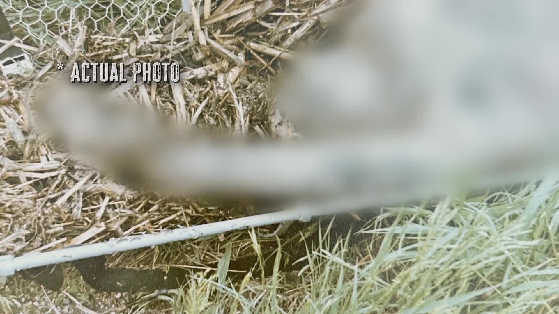 The Friday the 13th Murders 2025 S01E06 [ENG1080p] mp4