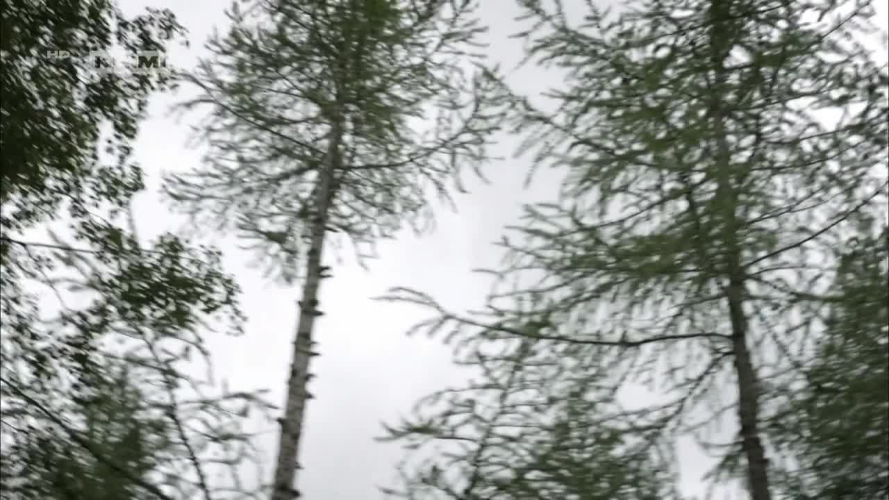 Vlčí instinkt S01E01 03 2014 CZ dab 720p Přetržený vlasec mp4