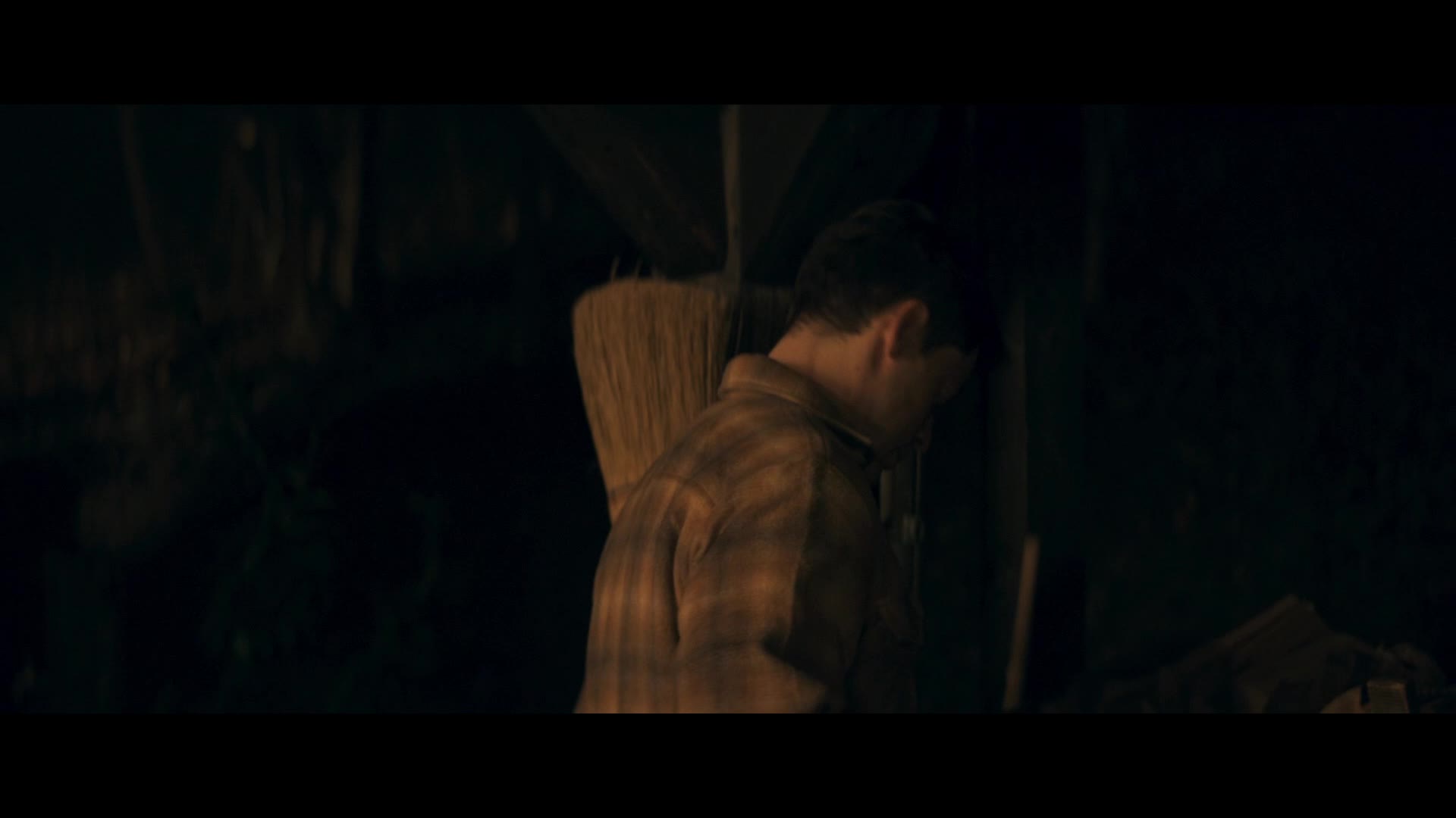 Americký agent 2024 CZ dab 1080p mkv