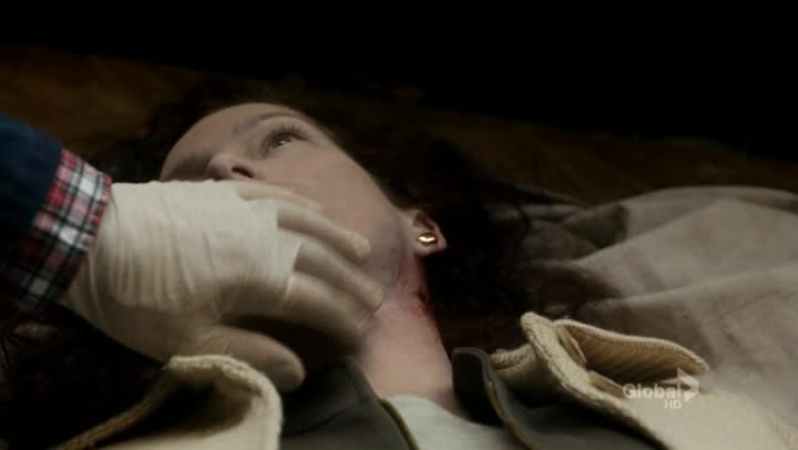 Ncis S09E13 Zoufalec avi