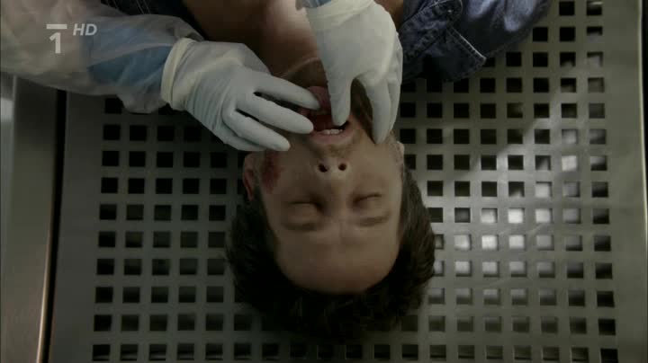 Tělo jako důkaz 01x04 Mluvící hlavy avi