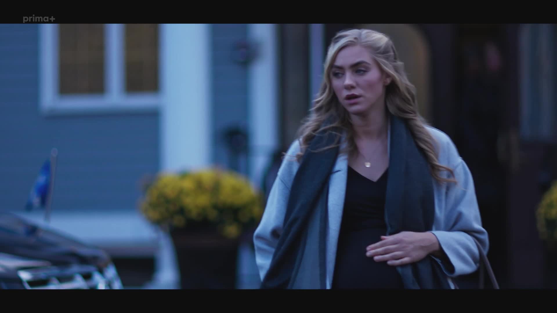 Ukrytá minulost 2019 CZ dab 1080p mkv