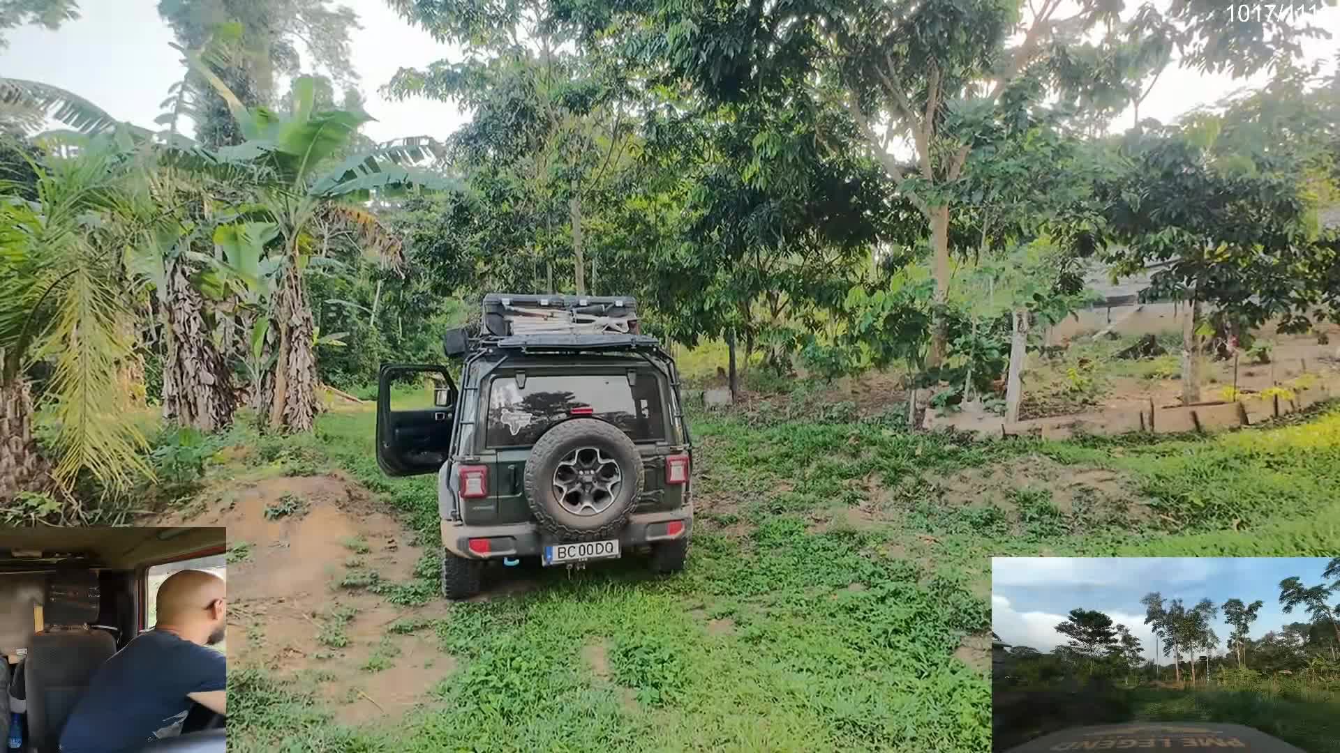 Afrika Kamerun Jungle Vibes Day 105 Pm mp4