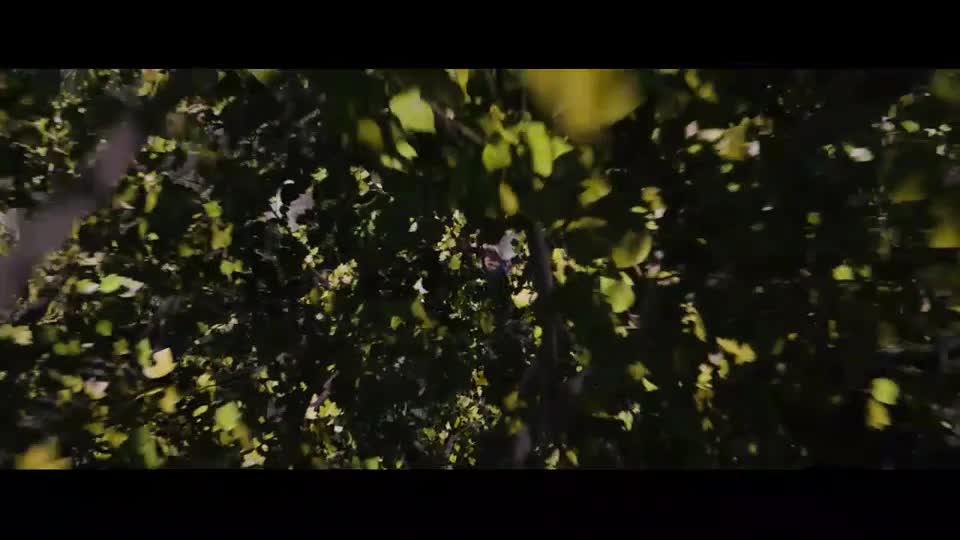 Pátá vlna (Chloë Grace Moretz Nick Robinson 2016 Dobrodružný Sci Fi Thriller 1080p ) Cz dabing mp4