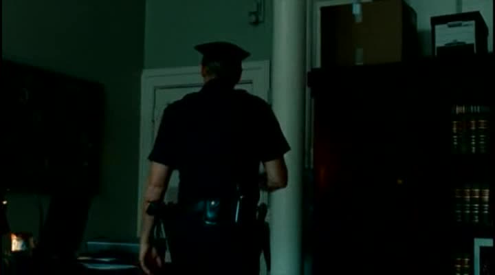 Nejlepší z Brooklynu =2009 CZ avi