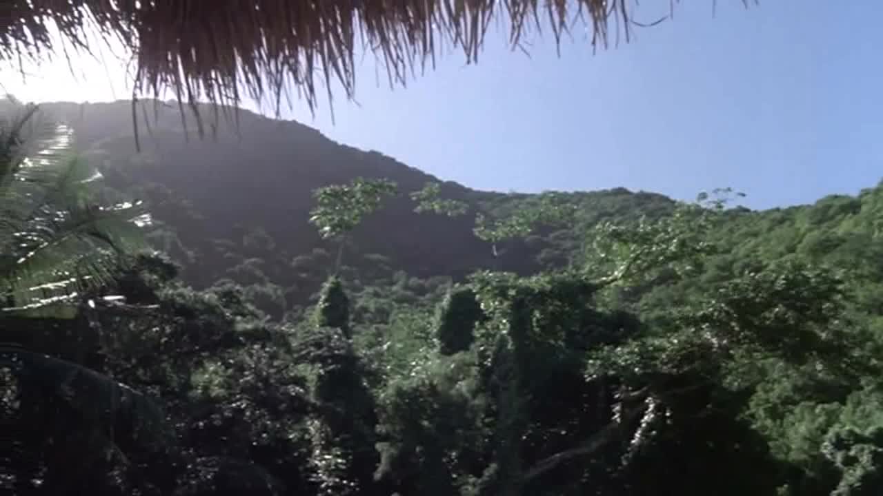 Ostrov doktora Moreaua =1977 CZ avi