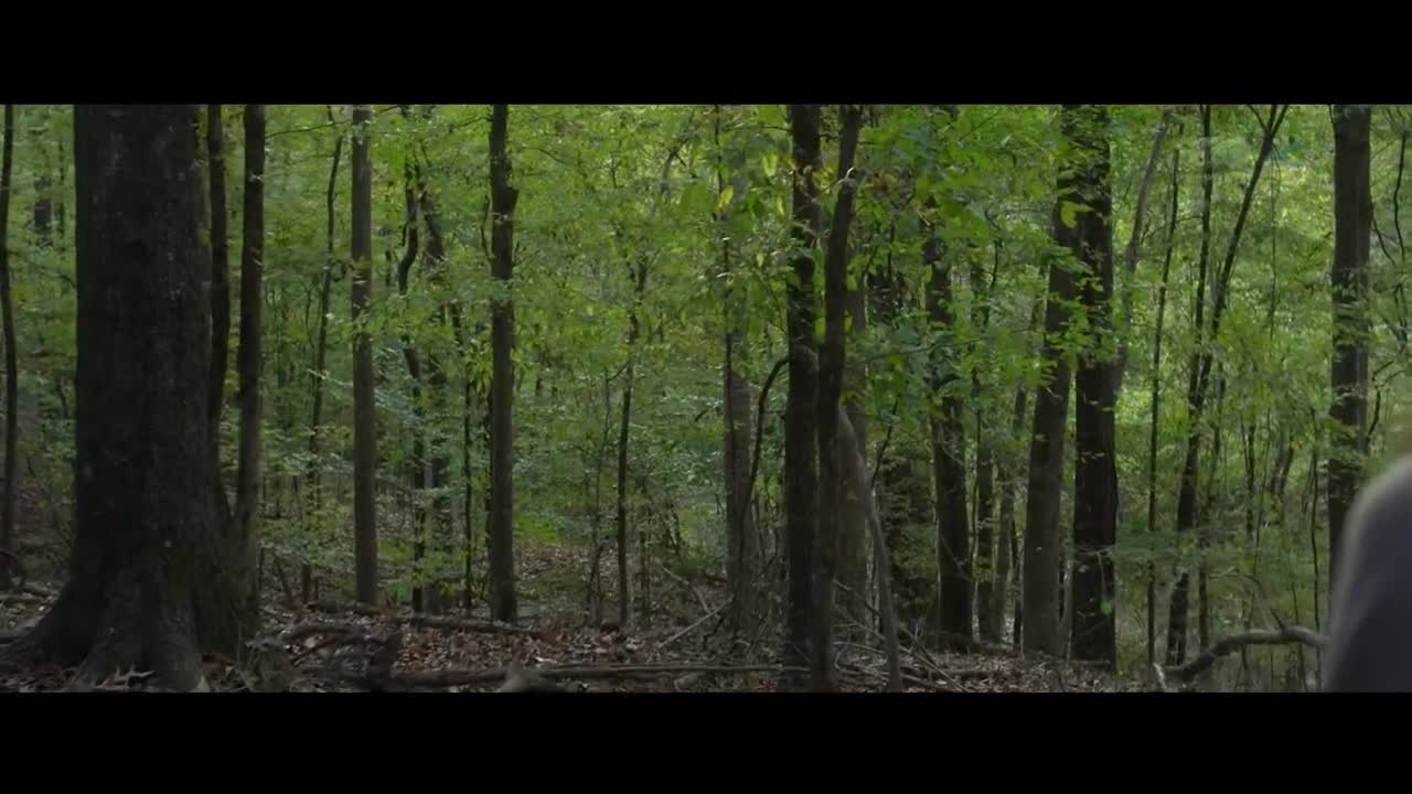 Stejně tak jiný jako já =2017 CZ avi