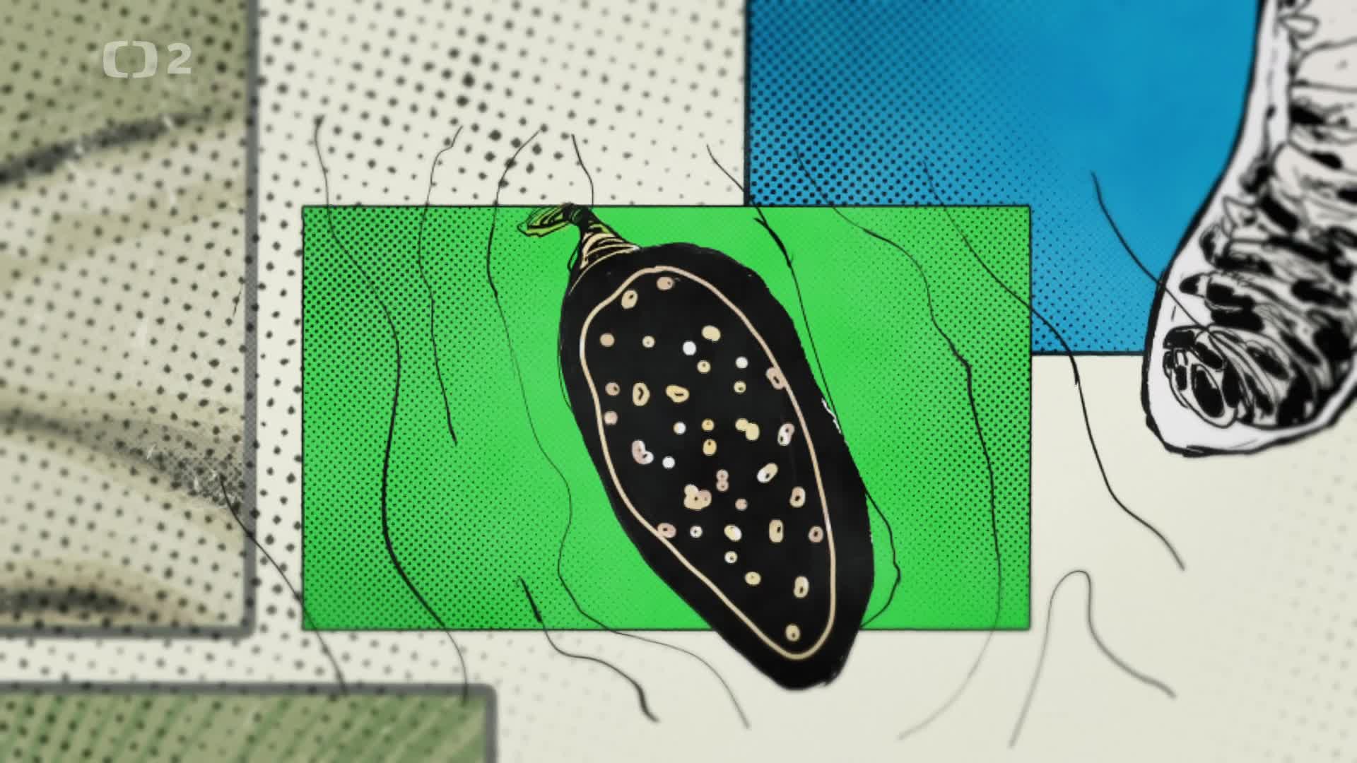 Motyli superhrdinove prirody [Butterflies Superheroes of Nature 2023 Fr] (cz 1080p) mp4